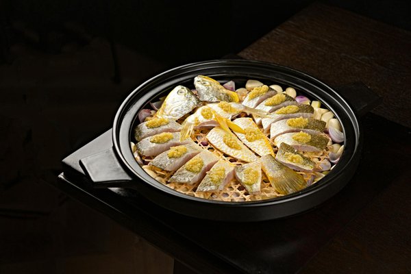 Optimale Lichtgestaltung für das Terrarium Ihres Leopardgeckos: Tipps und Tricks für beste Bedingungen!